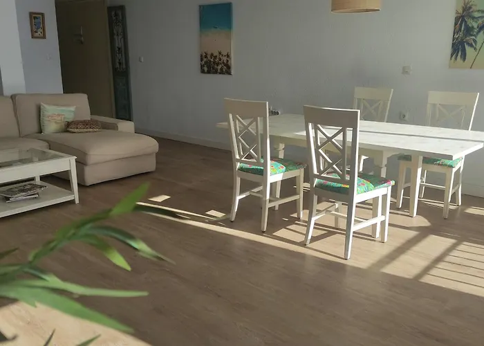 Oasis En La Ciudad De Gandia